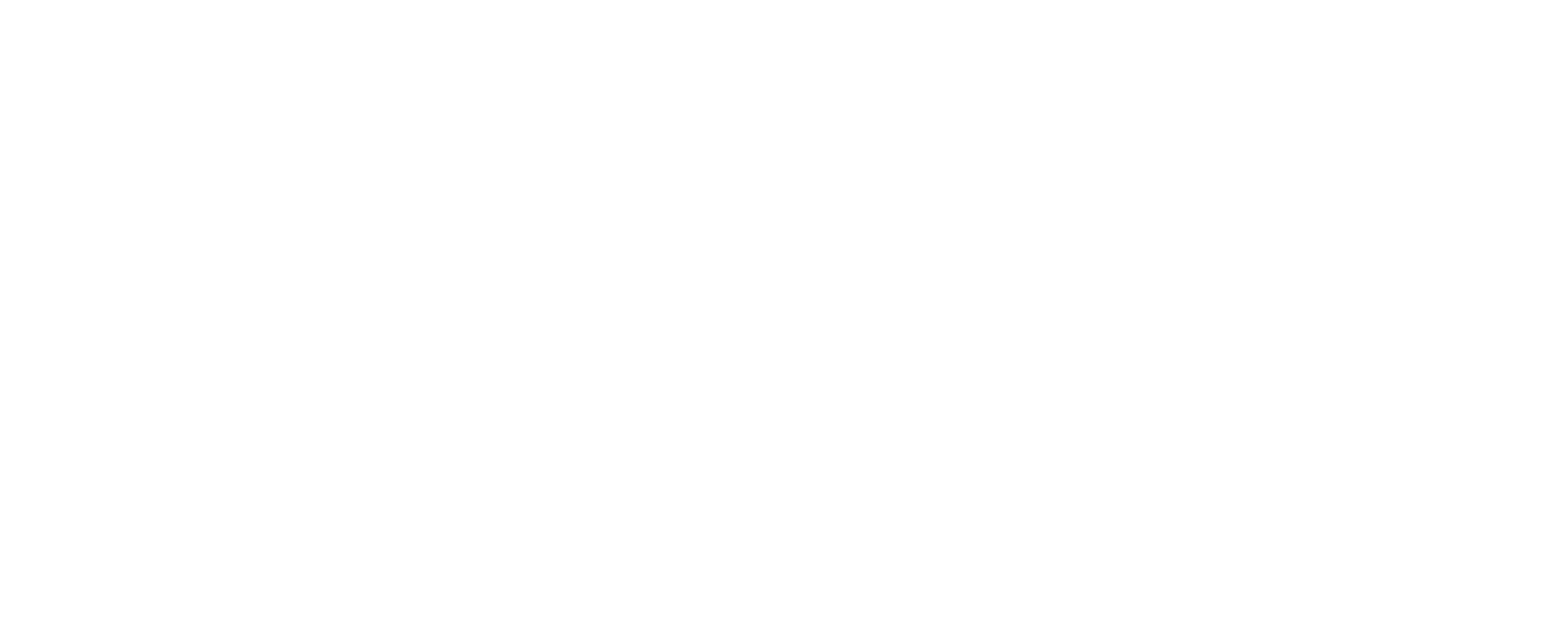 Logo KS weis