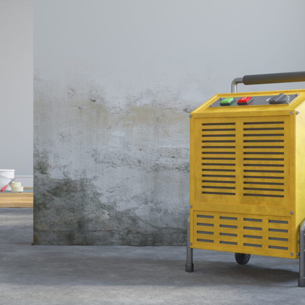 3d Illustration - leere, freie skandinavische Wohnung - Wasserschaden - Bautrockner - renovieren - sanieren - vorrichten - Versicherung